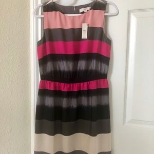 Loft Ann Taylor dress